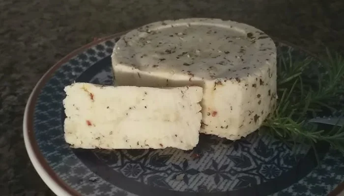 receita de queijo temperado caseiro